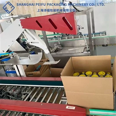Kartonverpackungsmaschine